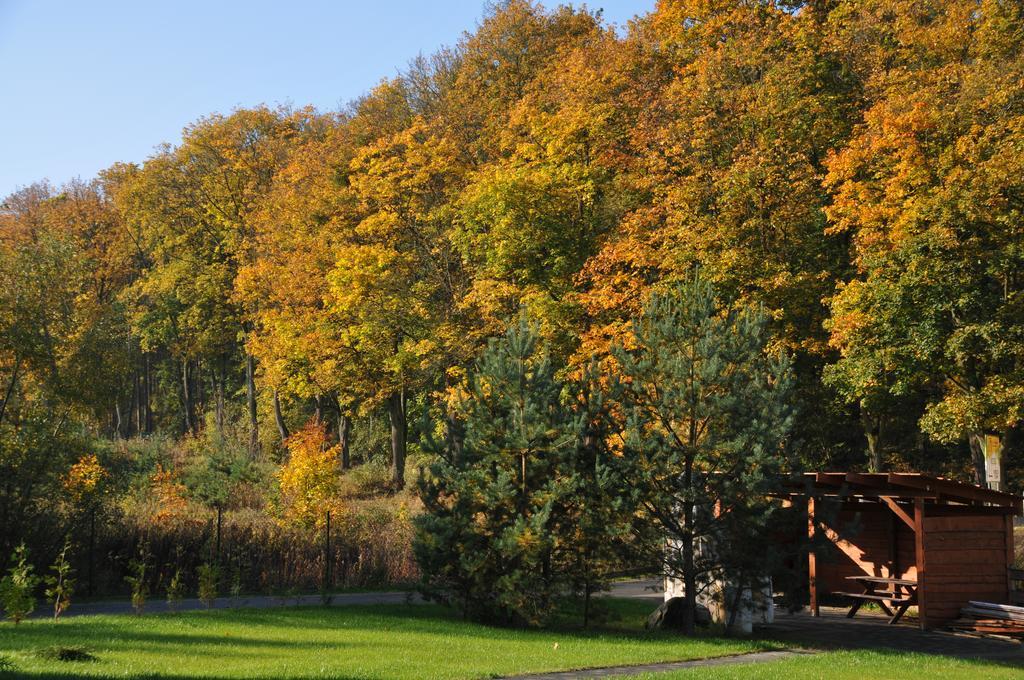 Dworek Skarszewy Hotel Grudziądz Zewnętrze zdjęcie